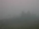 08 : 21