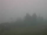 08 : 25
