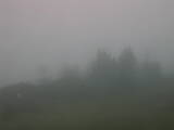 08 : 29