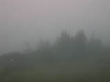 08 : 33