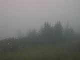 08 : 37