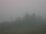 08 : 41