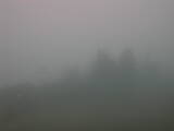 08 : 49