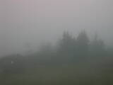 08 : 53