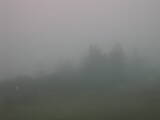 09 : 09