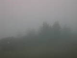 09 : 17