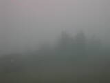 09 : 25