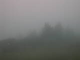 09 : 29