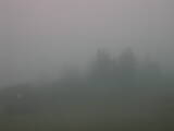 09 : 33