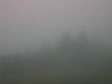 09 : 45