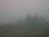 10 : 21