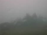 11 : 45