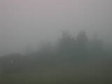 12 : 13