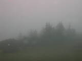 12 : 25