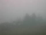 12 : 29