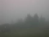 13 : 05