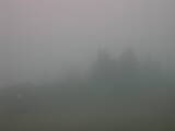 13 : 09