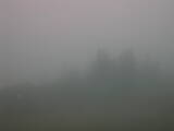 13 : 13