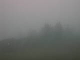 13 : 29