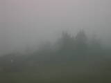 13 : 33