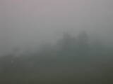 13 : 37