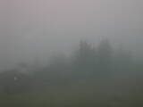 14 : 13