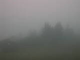 14 : 29