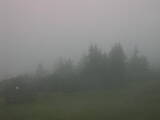 14 : 41