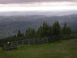 17 : 25