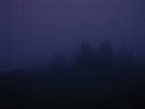 21 : 49
