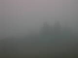 06 : 05