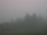 07 : 05