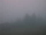 05 : 29
