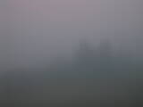 05 : 41