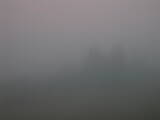 05 : 49