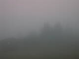 06 : 29