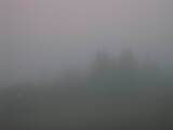 06 : 33