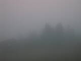 06 : 41