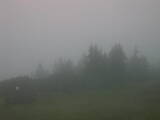 07 : 29