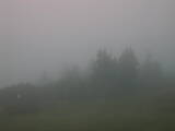 07 : 37