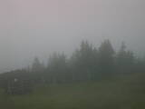 08 : 37