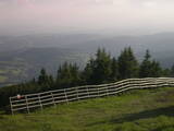 19 : 29