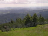 15 : 49