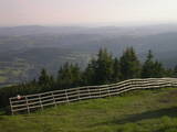 19 : 29