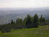 15 : 33