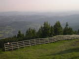 19 : 25