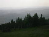 16 : 49