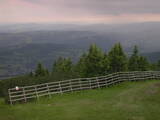 19 : 53