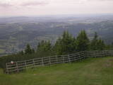 12 : 25