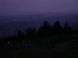 04 : 33